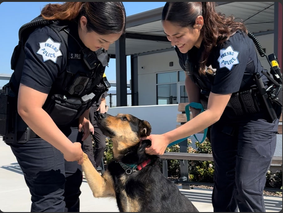 Fresno Police Officers